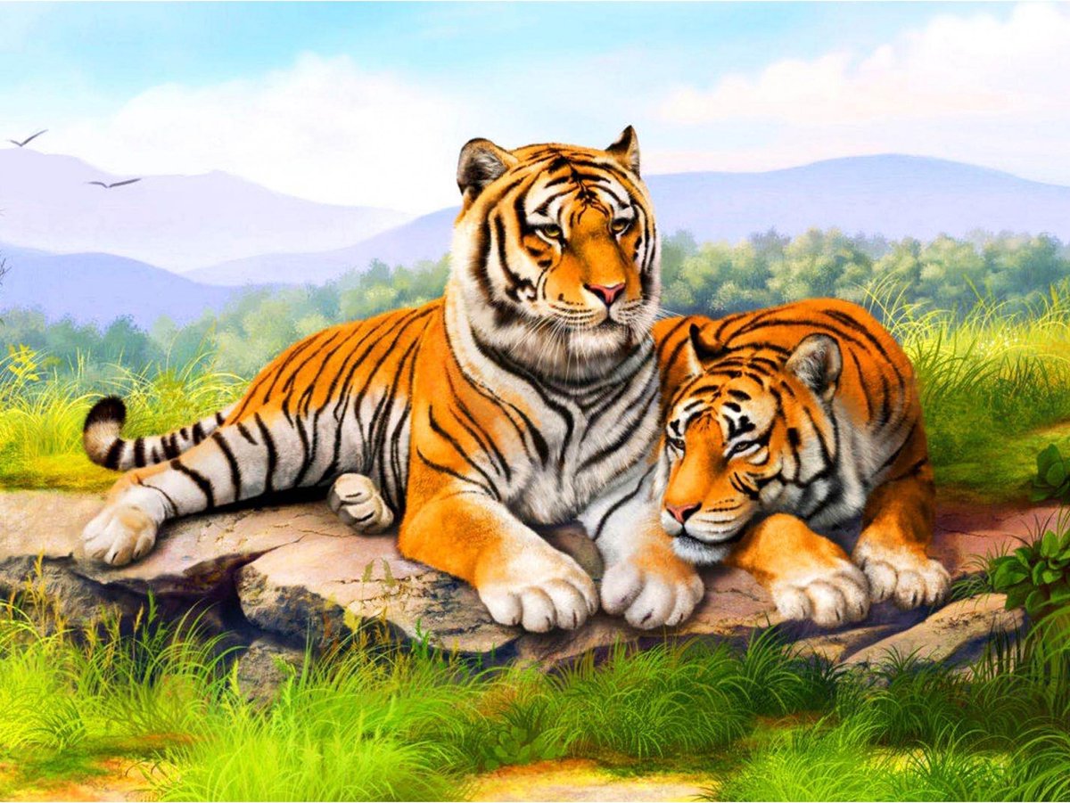 Toi-toys Diamond Painting Tijger 40 X 50 Cm