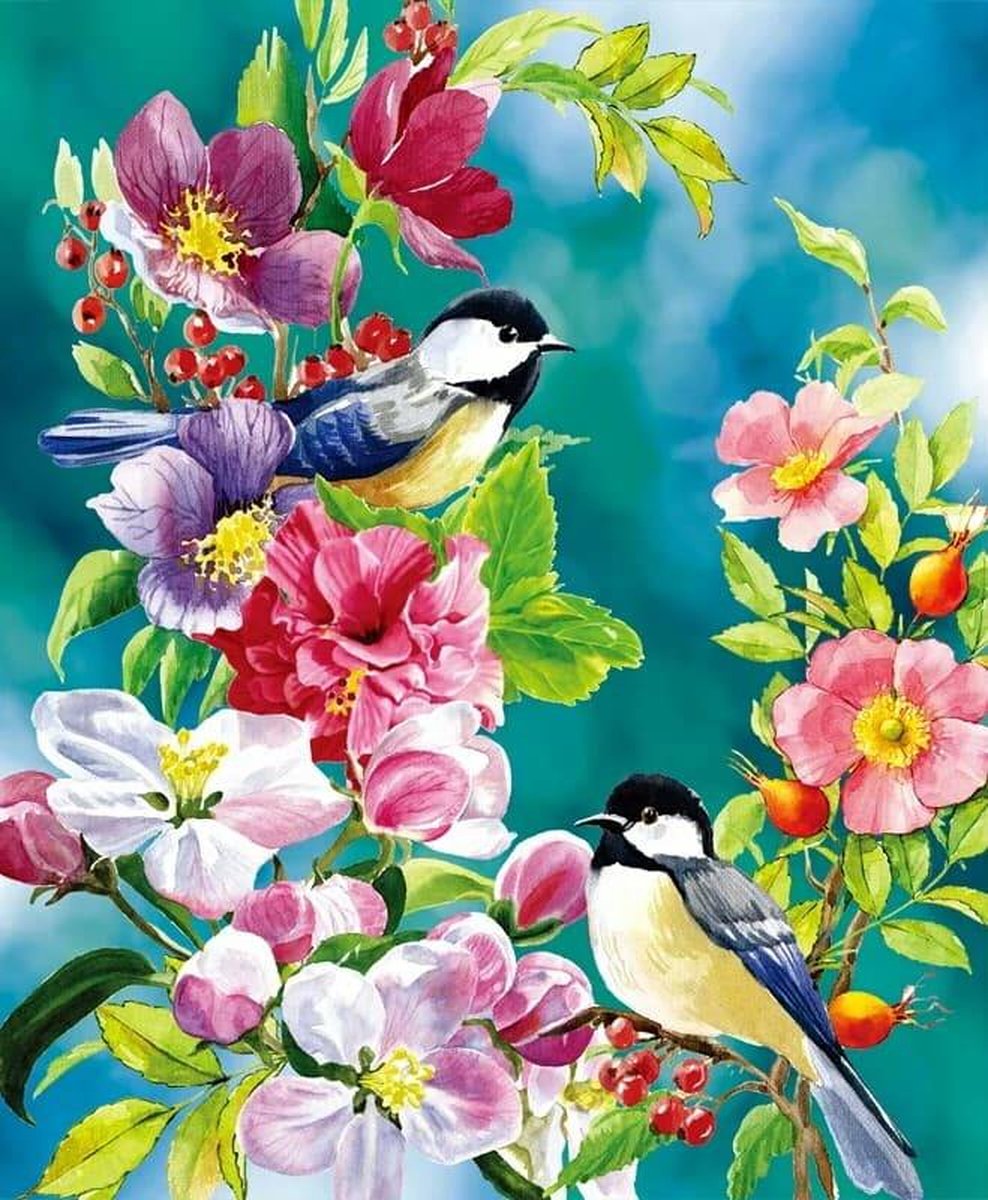 TOPMO - Birds watercolor - 40X50CM- Diamond painting pakket - HQ Diamond Painting - VOLLEDIG dekkend - Diamant Schilderen - voor Volwassenen – ROND- Diamond DOTZ