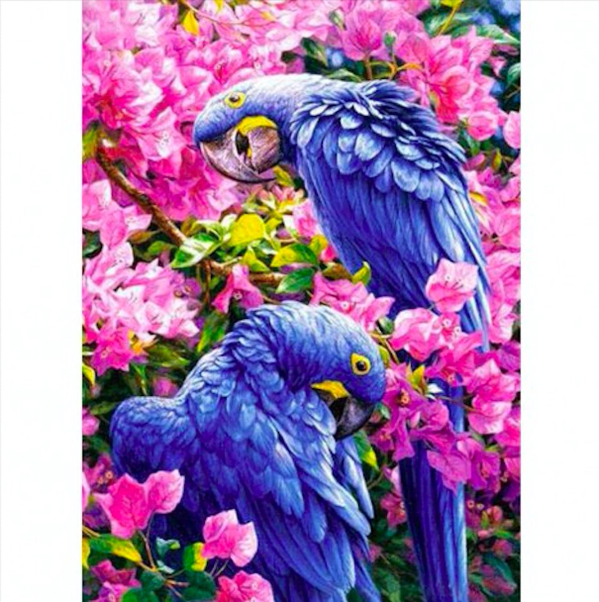 TOPMO - Blauwe Papegaai - 40X50CM- Diamond painting pakket - HQ Diamond Painting - VOLLEDIG dekkend - Diamant Schilderen - voor Volwassenen – ROND- Diamond DOTZ