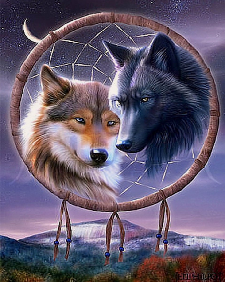 TOPMO - Dreamcatcher of wolves - 40X50CM- Diamond painting pakket - HQ Diamond Painting - VOLLEDIG dekkend - Diamant Schilderen - voor Volwassenen – ROND- Diamond DOTZ