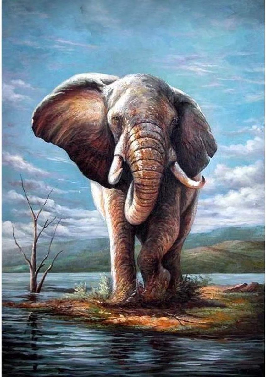 TOPMO - Eenzame olifant - Diamond painting- Diamond DOTZ- HQ Diamond Painting pakket - VOLLEDIG dekkend - Diamant Schilderen - voor Volwassenen – ROND- 40X50CM