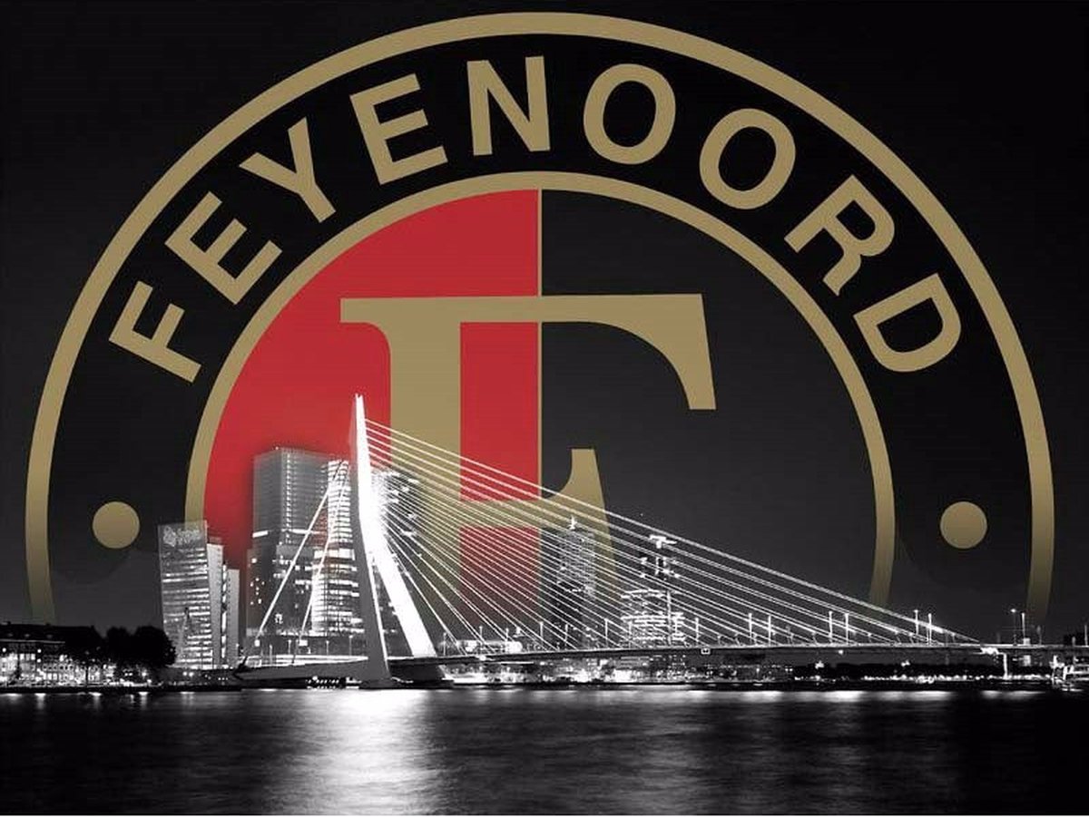 TOPMO - Feyenoord & Erasmusbrug - 40X50CM- Diamond painting pakket - HQ Diamond Painting - VOLLEDIG dekkend - Diamant Schilderen - voor Volwassenen – ROND- Diamond DOTZ