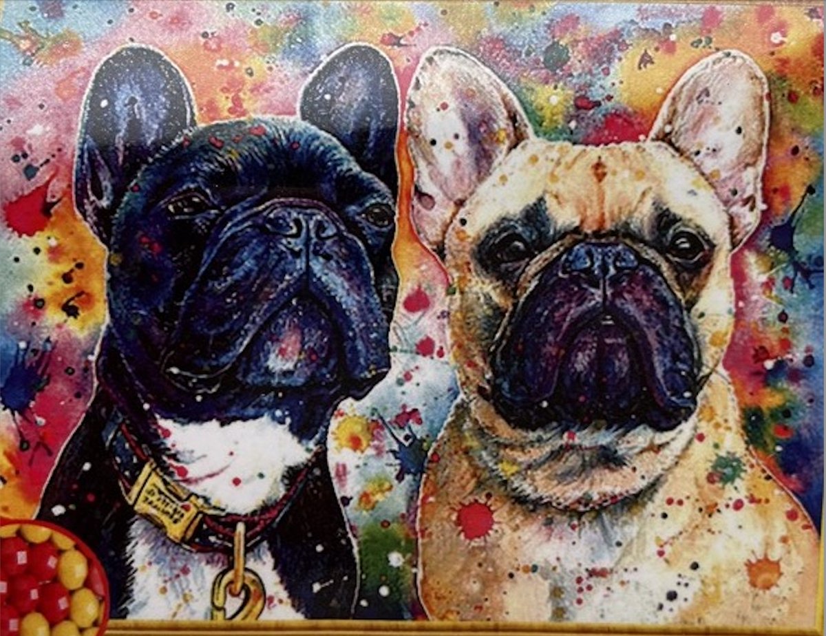 TOPMO - Franse Bulldogs - 40X50CM- Diamond painting pakket - HQ Diamond Painting - VOLLEDIG dekkend - Diamant Schilderen - voor Volwassenen – ROND- Diamond DOTZ