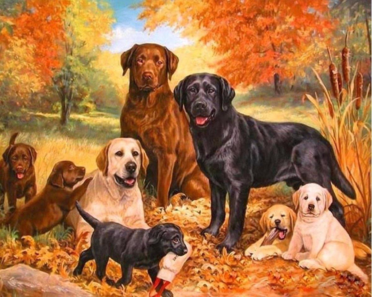 TOPMO - Groepje honden- honden portret in het bos - 40X50CM- Diamond painting pakket - HQ Diamond Painting - VOLLEDIG dekkend - Diamant Schilderen - voor Volwassenen – ROND- Diamond DOTZ