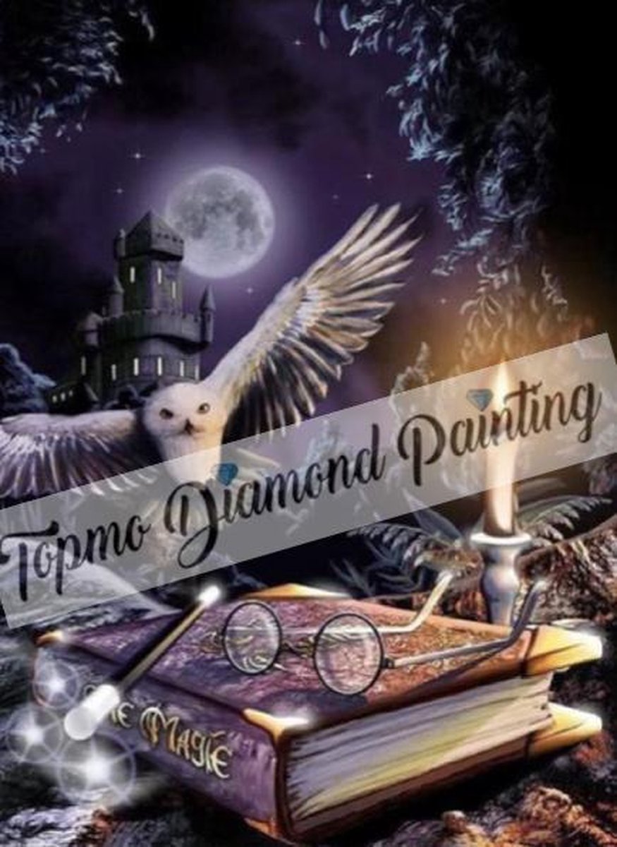 TOPMO - Harry Potter - hogwarts & Hedwig- 40X50CM- Diamond painting pakket - HQ Diamond Painting - VOLLEDIG dekkend - Diamant Schilderen - voor Volwassenen – ROND- Diamond DOTZ