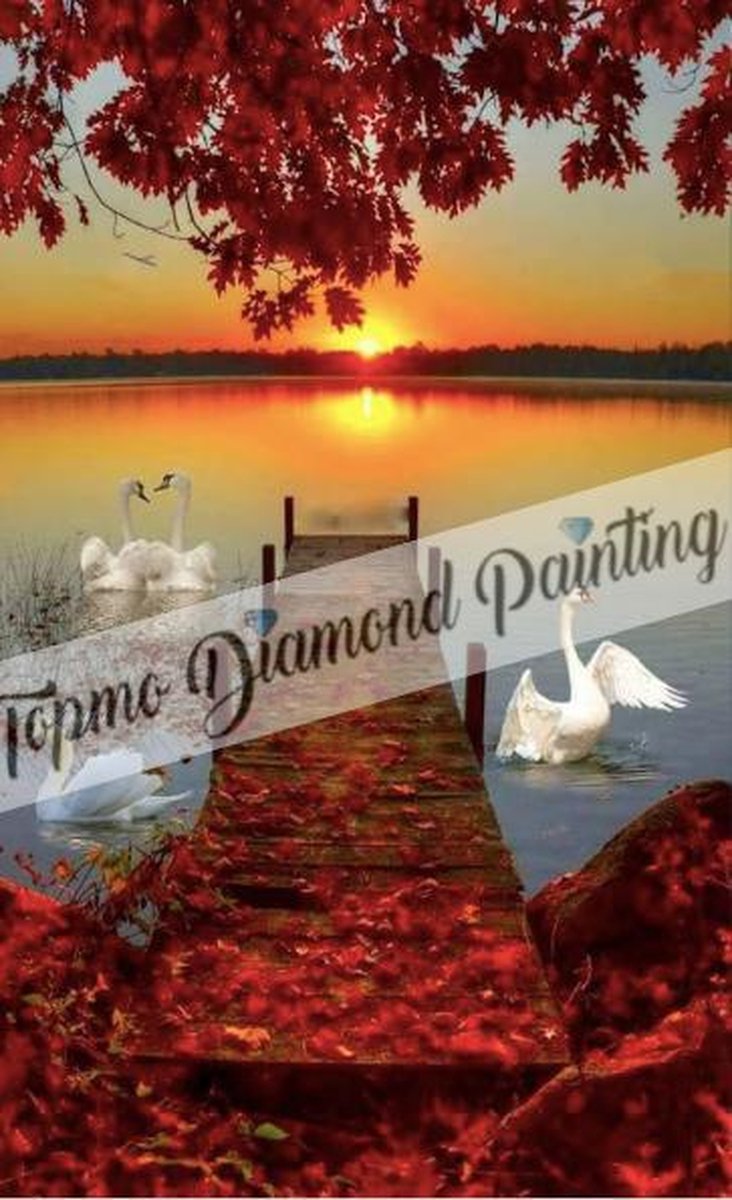 TOPMO - Meer met zwanen- 40X50CM- Diamond painting pakket - HQ Diamond Painting - VOLLEDIG dekkend - Diamant Schilderen - voor Volwassenen – ROND- Diamond DOTZ