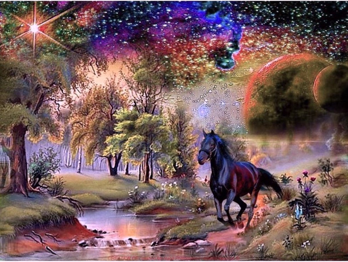 TOPMO - Paarden Rijk - 40X50CM- Diamond painting pakket - HQ Diamond Painting - VOLLEDIG dekkend - Diamant Schilderen - voor Volwassenen – ROND- Diamond DOTZ