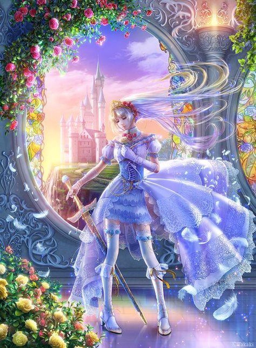 TOPMO - Princess knight - art by Takaki - Diamond painting pakket - HQ Diamond Painting - volledig dekkend - Diamant Schilderen – voor Volwassenen – ROND - 40 x 50 CM