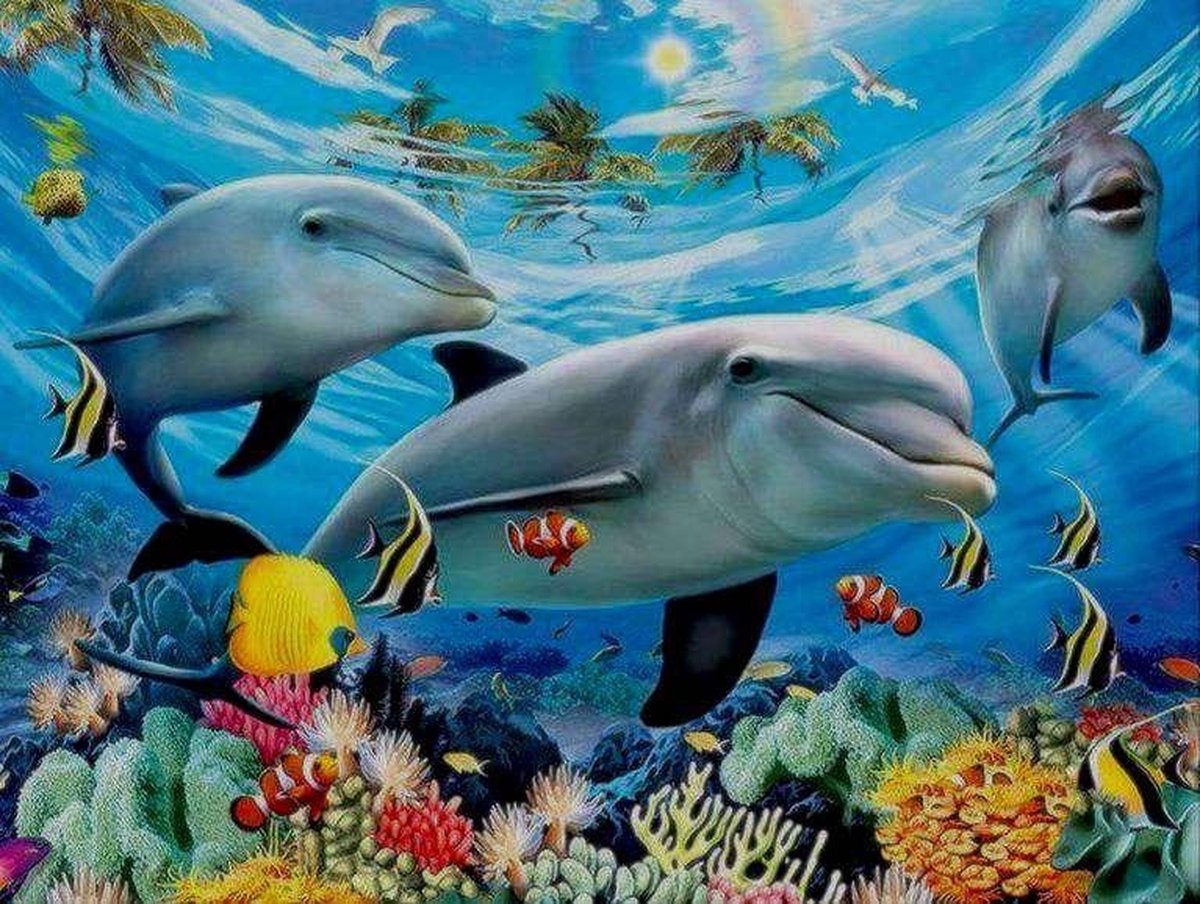 TOPMO - Sweet Dolphin- Diamond painting- Diamond DOTZ- HQ Diamond Painting pakket - VOLLEDIG dekkend - Diamant Schilderen - voor Volwassenen – ROND- 40X50CM