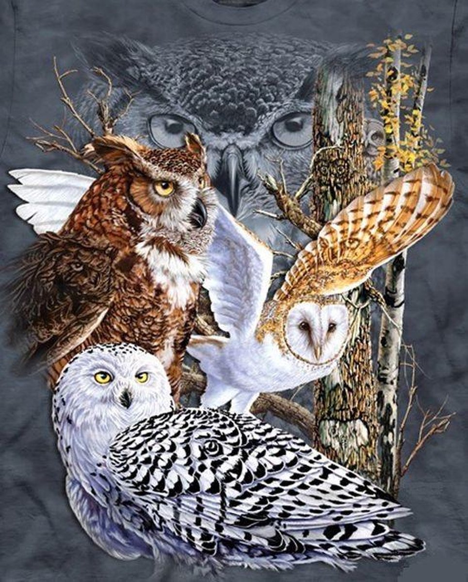 TOPMO - Uilen collage- Vrije vogels-  40X50CM- Diamond painting pakket - HQ Diamond Painting - VOLLEDIG dekkend - Diamant Schilderen - voor Volwassenen – ROND- Diamond DOTZ