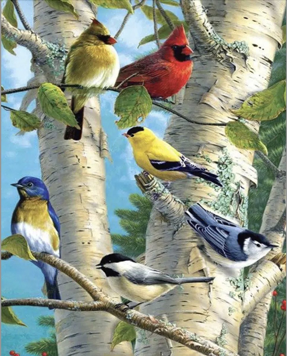 TOPMO - Vogeltjes in het bos - Diamond painting pakket - HQ Diamond Painting - volledig dekkend - Diamant Schilderen – voor Volwassenen – ROND - 40 x 50 CM