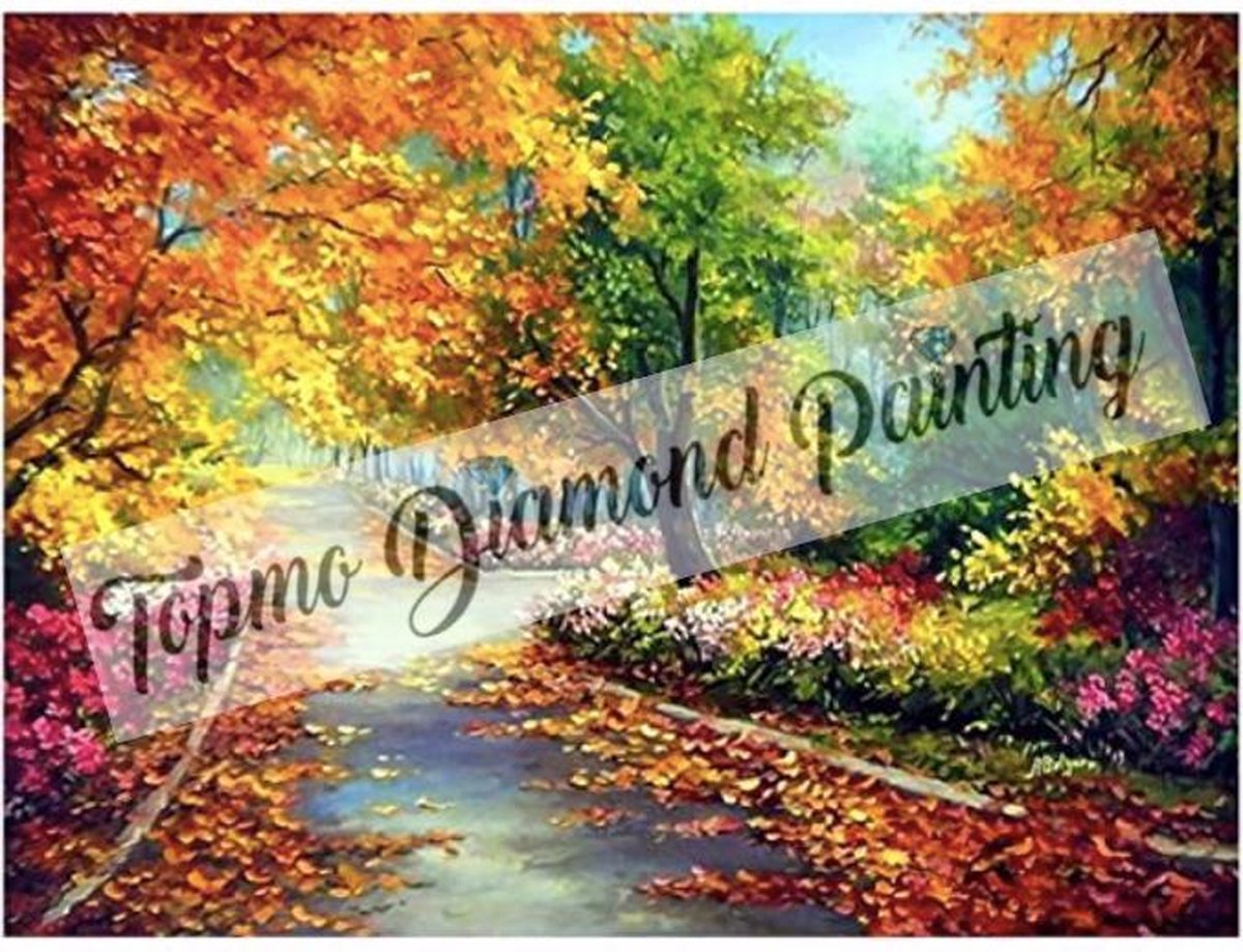 TOPMO - Weg vol bladeren - Diamond painting- Diamond DOTZ- HQ Diamond Painting pakket - VOLLEDIG dekkend - Diamant Schilderen - voor Volwassenen – ROND- 40X50CM