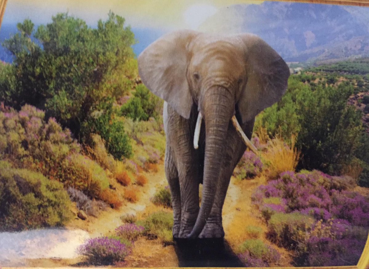 TOPMO Diamond painting- Olifant met een lichtstraal- volledig 40x50cm