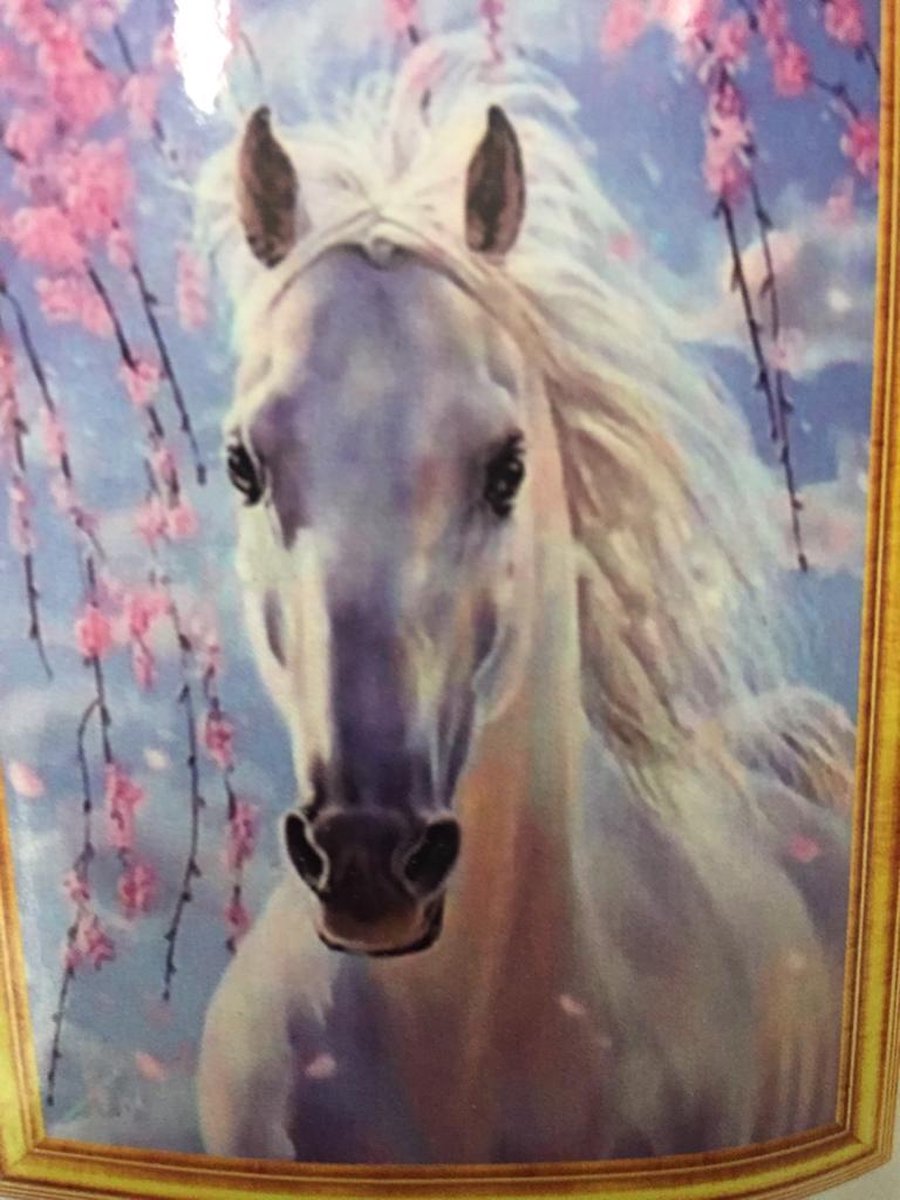 TOPMO Diamond painting- Witte paard- volledig 40x50cm