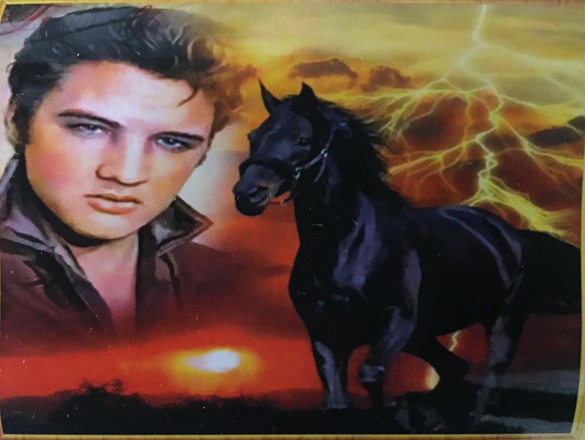 TOPMO- Diamond painting volwassenen - HQ - Elvis Presley met een paard - Diamond painting pakket - HQ Diamond Painting - volledig dekkend - Diamant Schilderen – voor Volwassenen – ROND - 40 x 50 CM