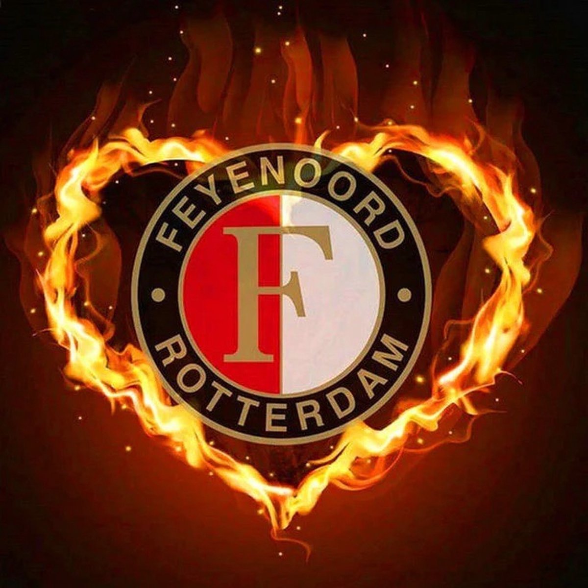 TOPMO- Feyenoord vuur en vlam - 40 x 50 CM - Diamond painting pakket - HQ Diamond Painting - VOLLEDIG dekkend - Diamant Schilderen - voor Volwassenen – ROND