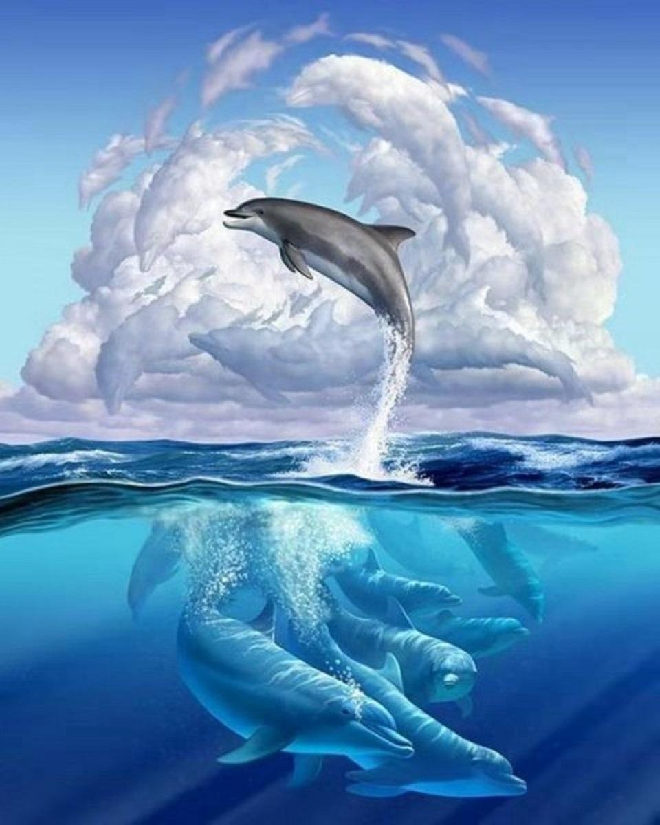 TOPMO -Free Dolphin- Diamond painting- Diamond DOTZ- HQ Diamond Painting pakket - VOLLEDIG dekkend - Diamant Schilderen - voor Volwassenen – ROND- 40X50CM