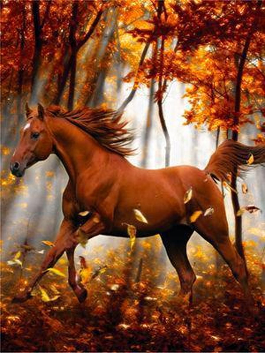 TOPMO- Herfst paard- Diamond painting pakket - HQ Diamond Painting - volledig dekkend - Diamant Schilderen – voor Volwassenen – ROND - 40 x 50 CM