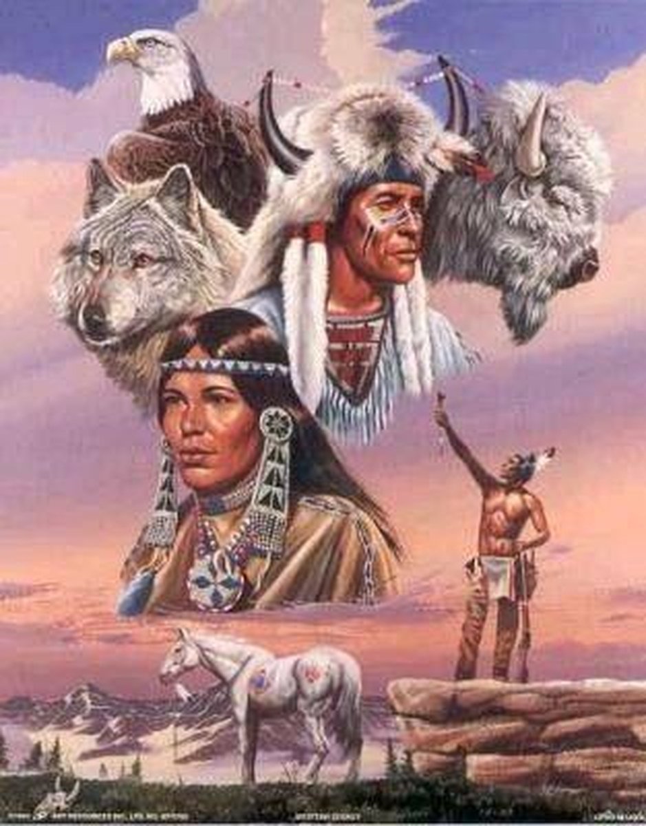 TOPMO- Indianen portret 2- Wijze voorouders- 40 x 50 CM - Diamond painting pakket - HQ Diamond Painting - VOLLEDIG dekkend - Diamant Schilderen - voor Volwassenen – ROND