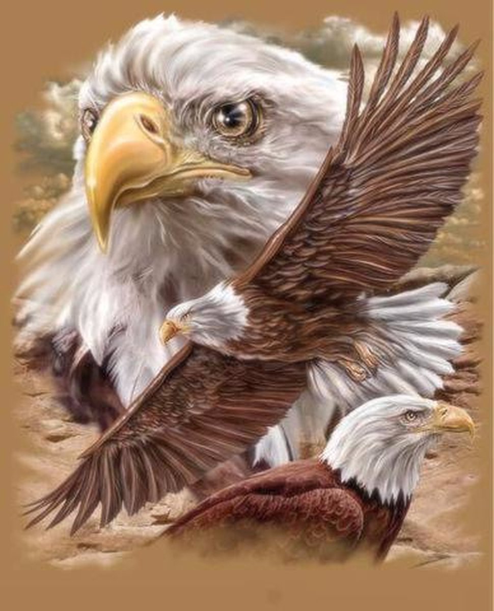 TOPMO -Powerful Eagle- Diamond painting- Diamond DOTZ- HQ Diamond Painting pakket - VOLLEDIG dekkend - Diamant Schilderen - voor Volwassenen – ROND- 40X50CM