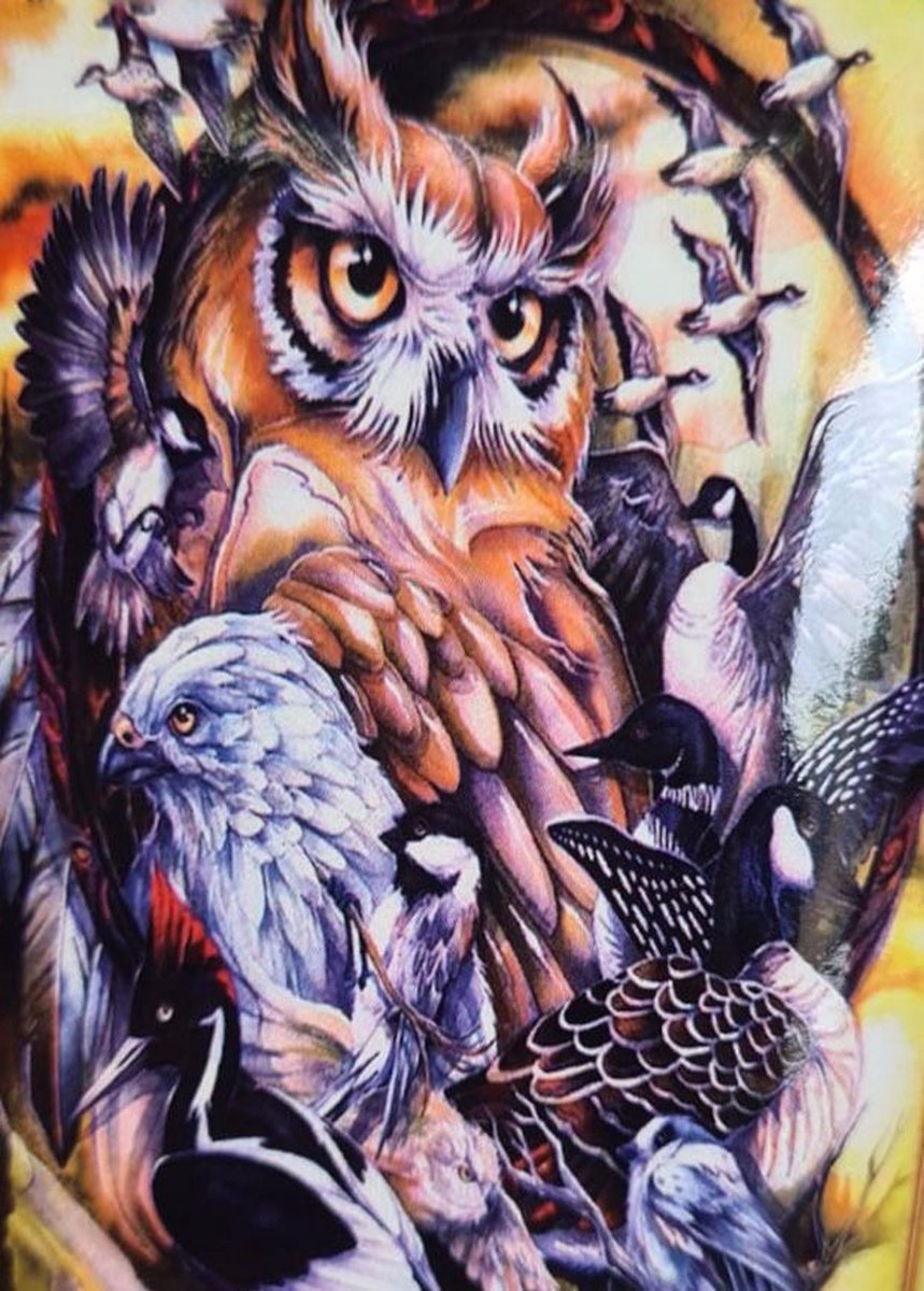 TOPMO -Zwerm Vogels- Diamond painting- Diamond DOTZ- HQ Diamond Painting pakket - VOLLEDIG dekkend - Diamant Schilderen - voor Volwassenen – ROND- 40X50CM