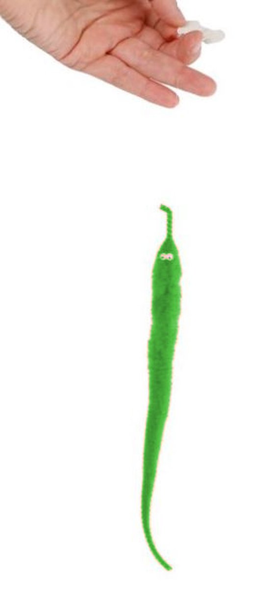 Toys Amsterdam Magische Worm Junior 20 Cm Pluche Groen