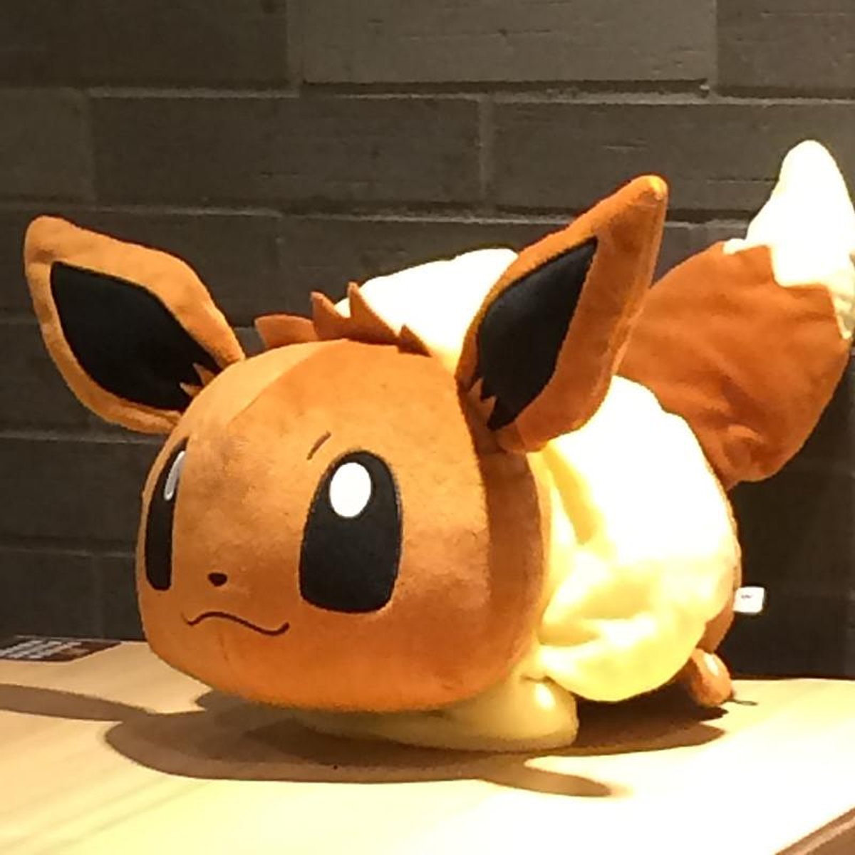 Knuffelpop 48 cm Eevee Knuffel Anime Brinquedos Eevee Leuke Gevulde Pop voor Kinderen Zacht kussen Pluche kussen