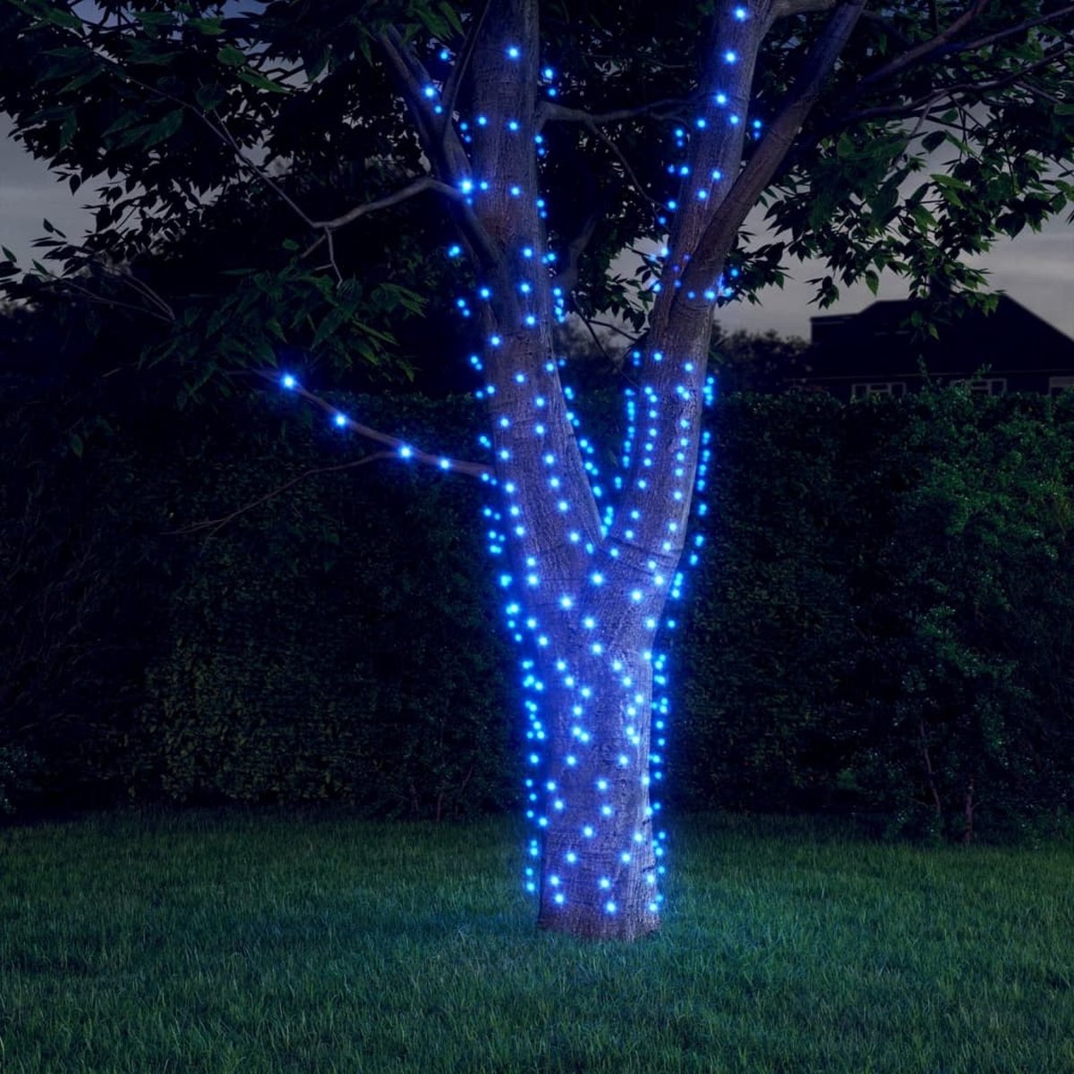 vidaXL 5 st Lichtslinger met 200 LEDs solar binnen/buiten blauw