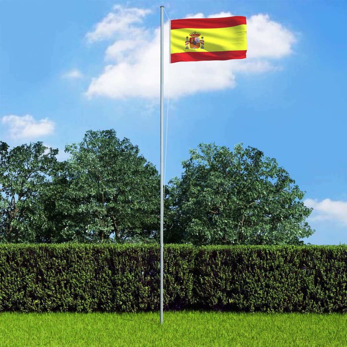 vidaXL Vlag Spanje 90x150 cm