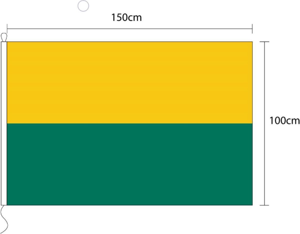 Vlag van Denhaag 100 x 150cm