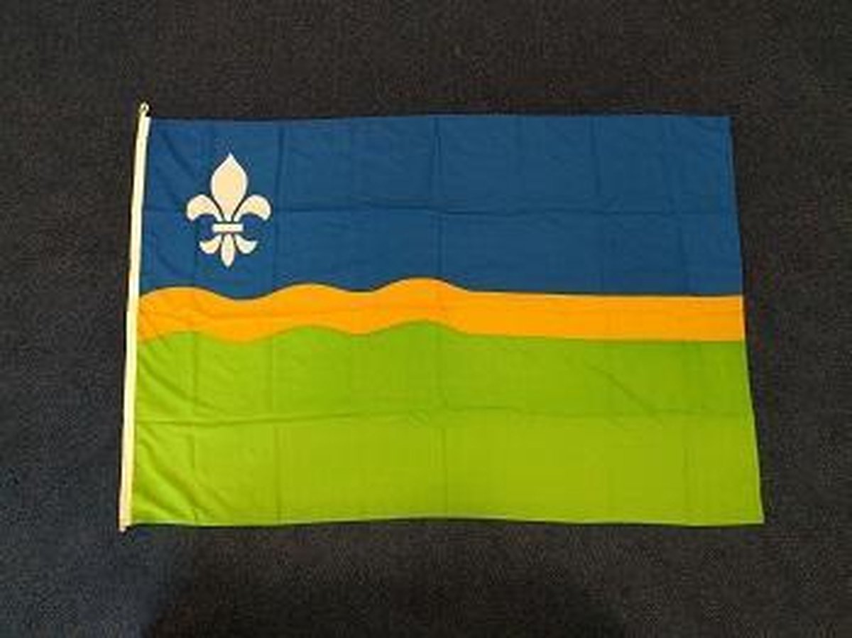 Flevolandse vlag Flevoland 100 x 150cm