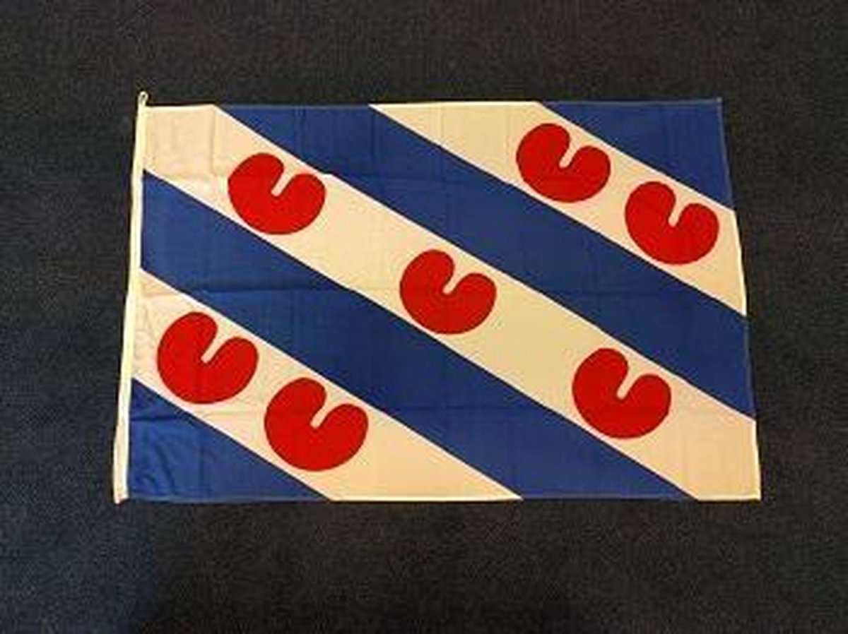 Friese vlag Friesland 150 x 225cm