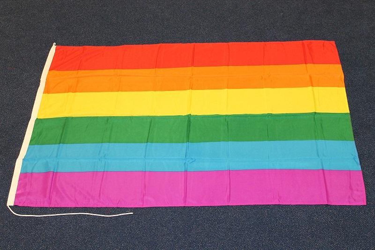 Regenboog vlag 100 x 150 cm