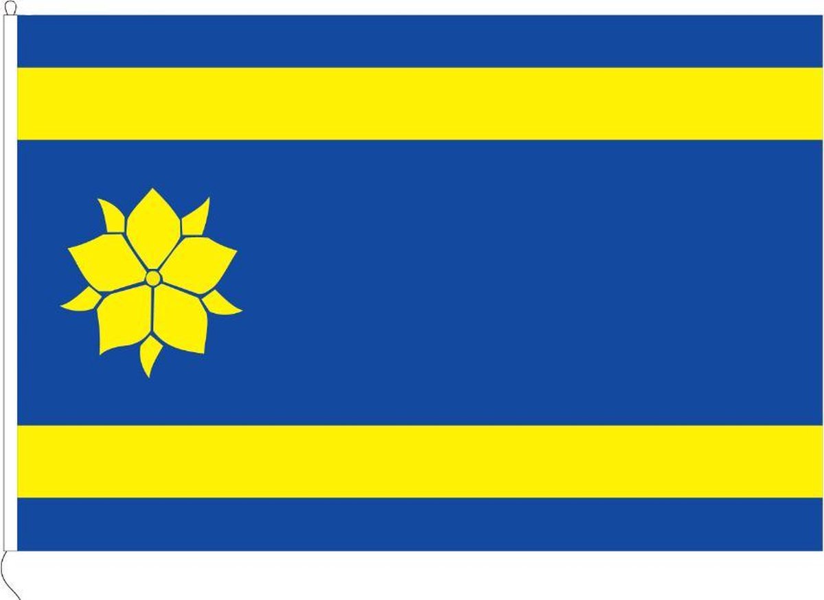 Vlag van Hattem 150 x 225cm
