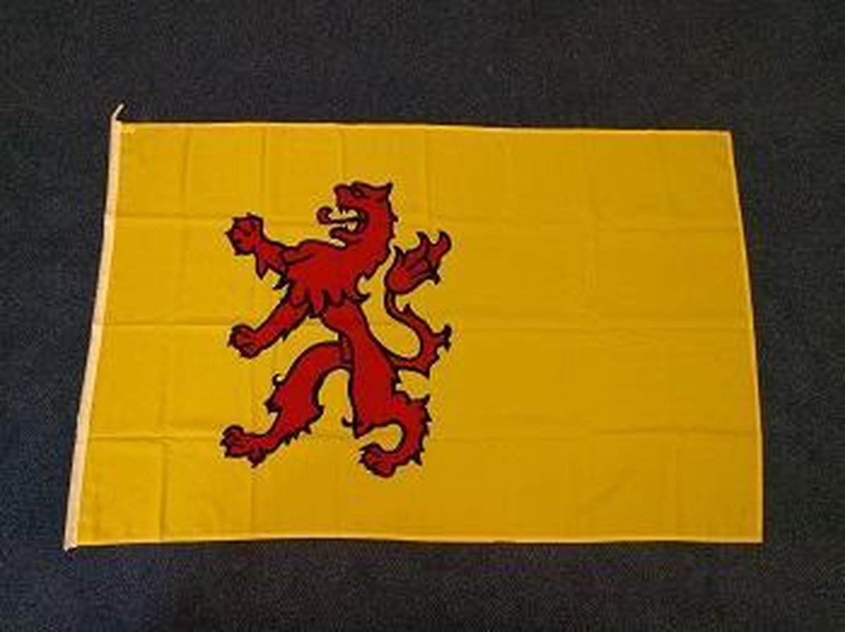 Zuid Hollandse vlag Zuid Holland 100 x 150cm