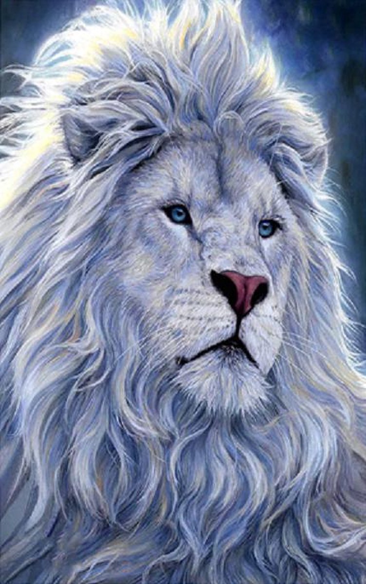 Diamand Painting - White Lion 40x50