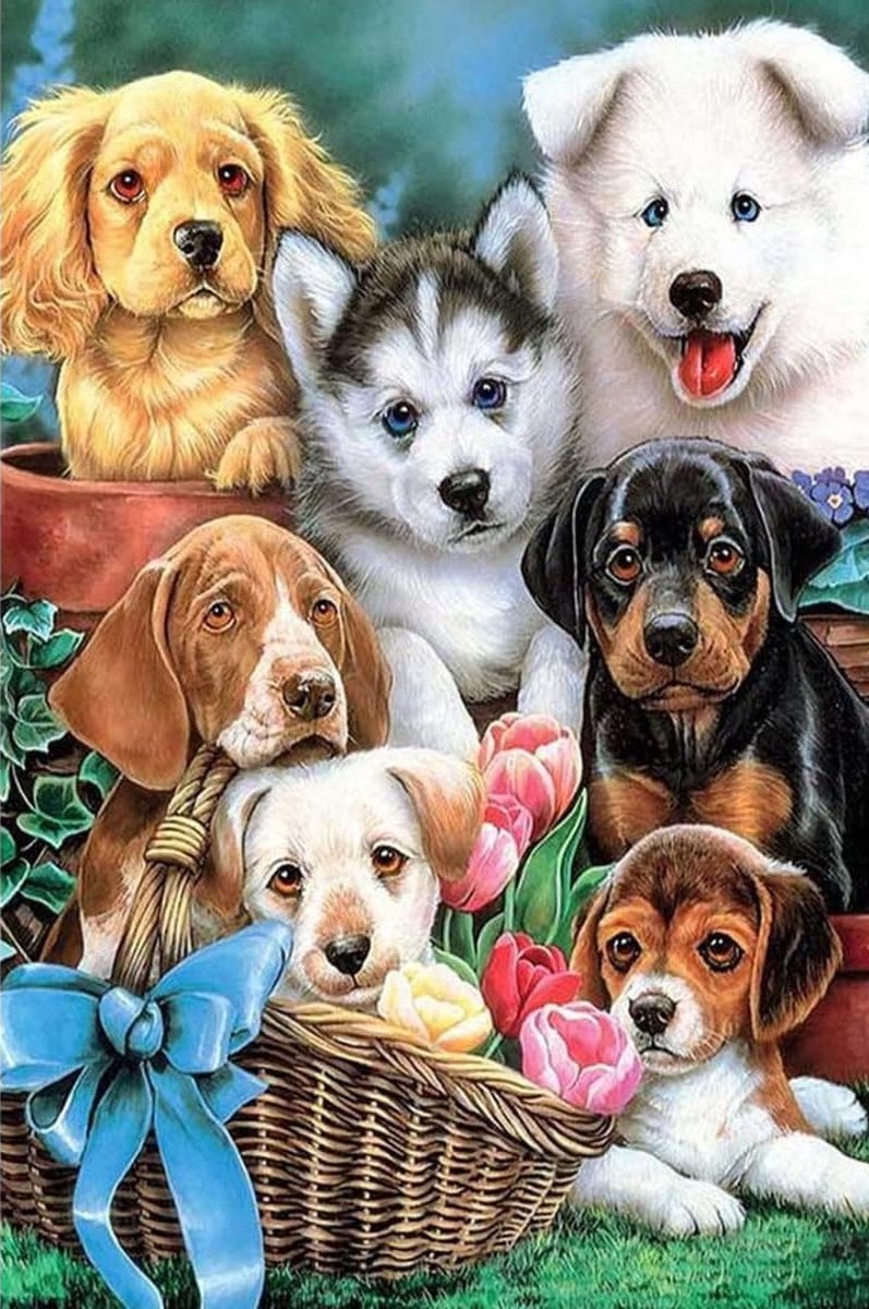 DIAMOND PAINTING Honden (30 X 40 CM)