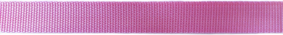 Tassenband - 3 meter - 25 mm breed - Licht roze -   - Nylonband - Banden - Polyesterband - PP band - Hobby - Naaien